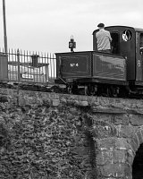 Princess and Palmerston