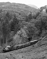 Prince on Whistling Curve